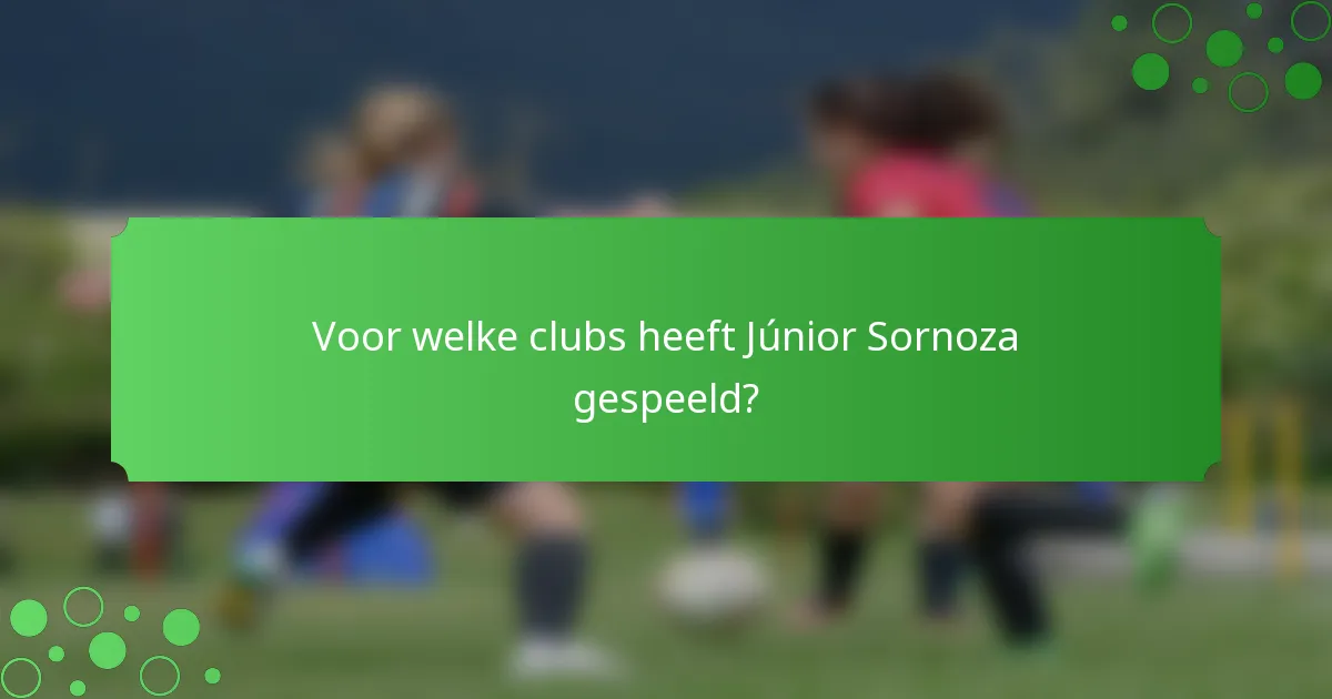 Voor welke clubs heeft Júnior Sornoza gespeeld?